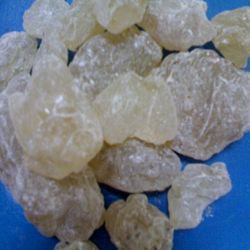 Jual Gum Damar Jakarta Harga Murah